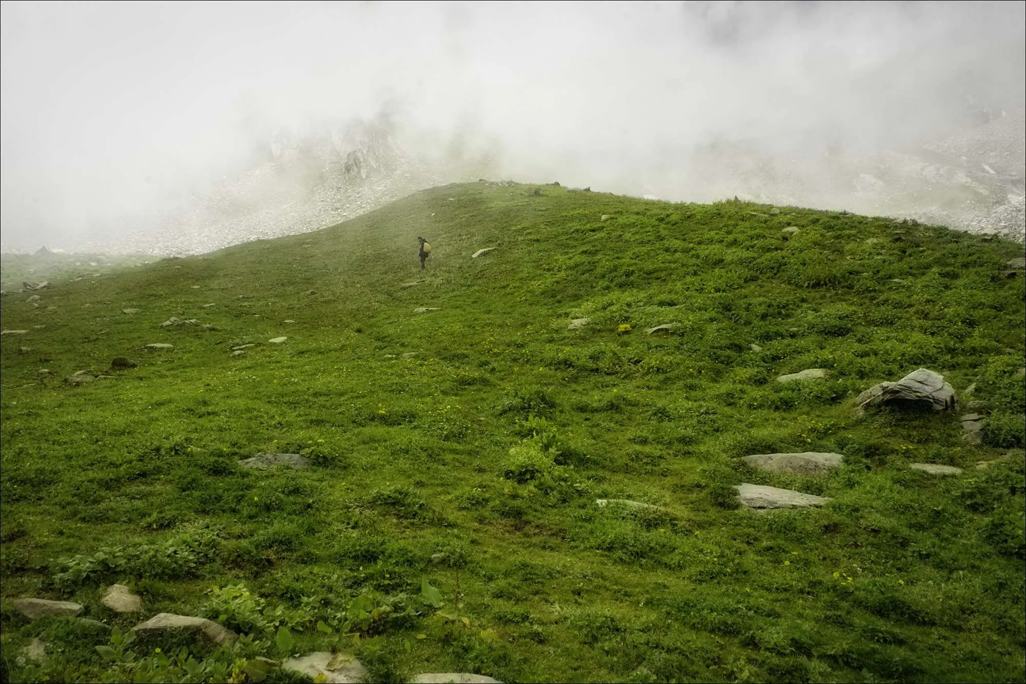 Meadows of Bhadpal, Dhauladhar Himalaya, Himachal Pradesh