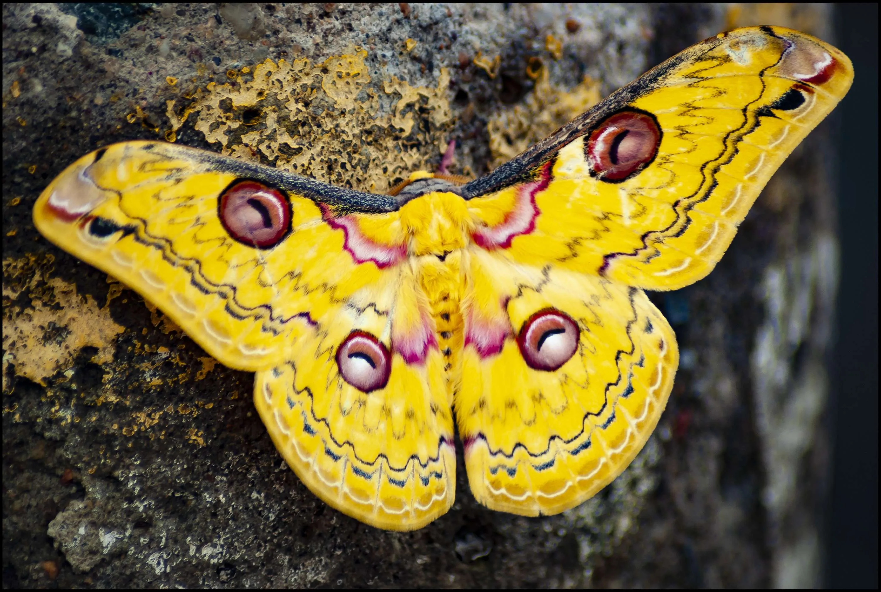 On passing flutters…