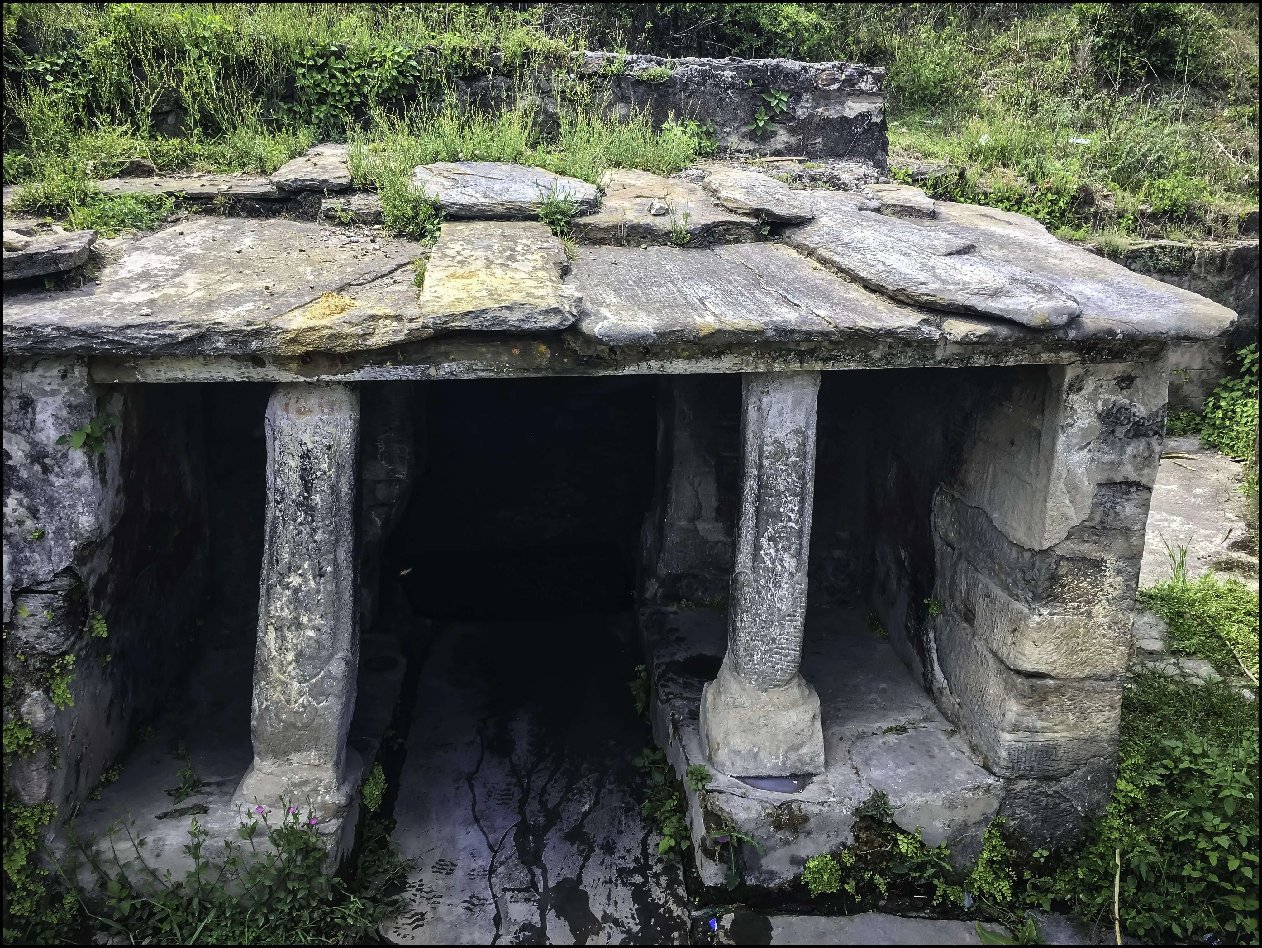 on water of the woods…