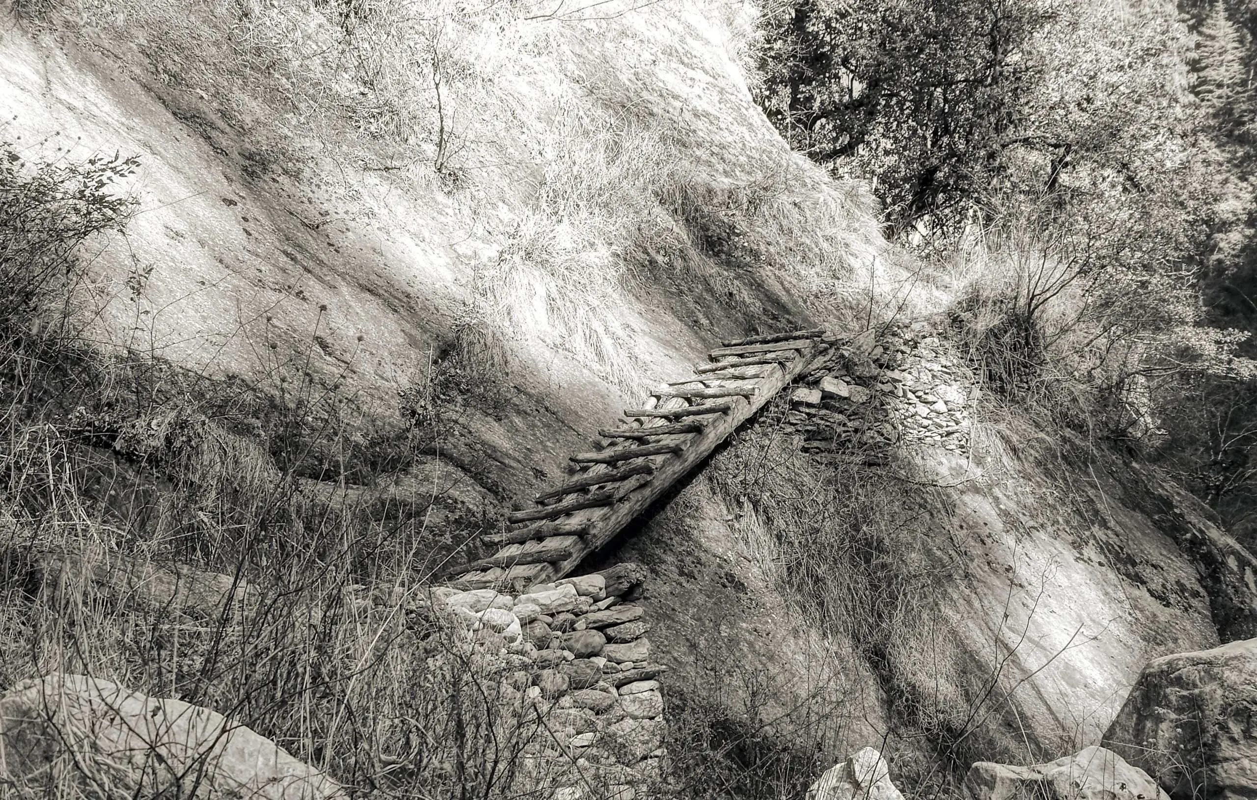 log bridges in Himalaya