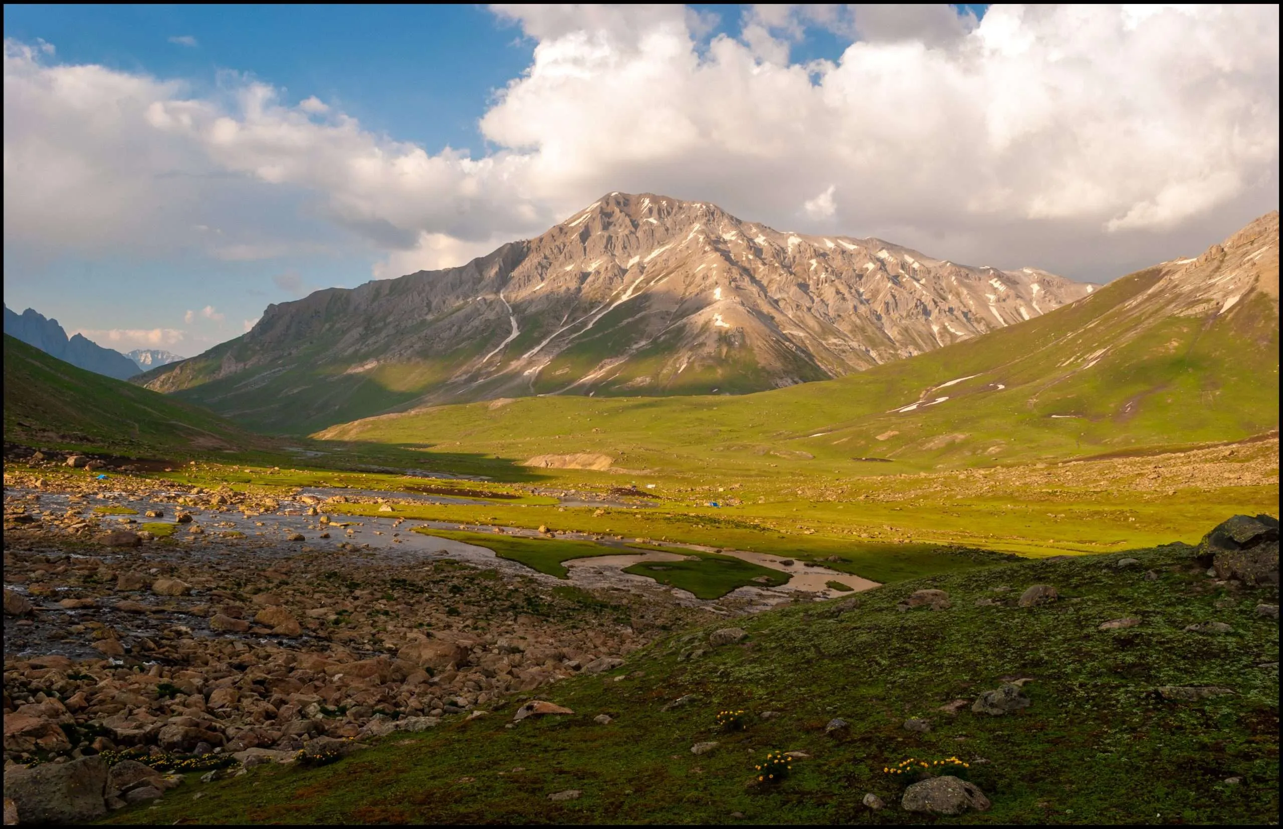 Meadows in Kashmir, India