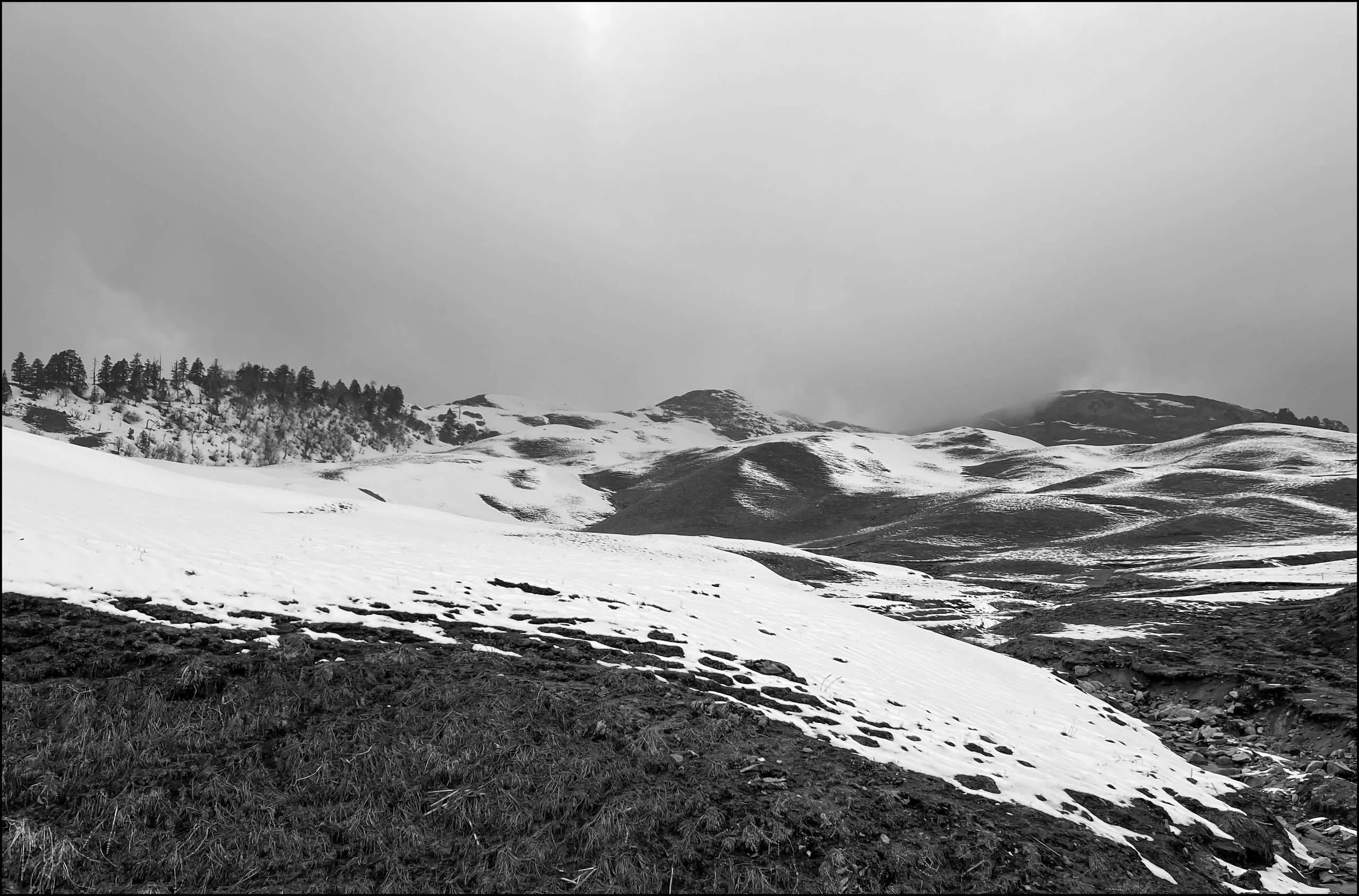 Dayara Bugyal, Garhwal Himalaya, Uttarakhand, India
